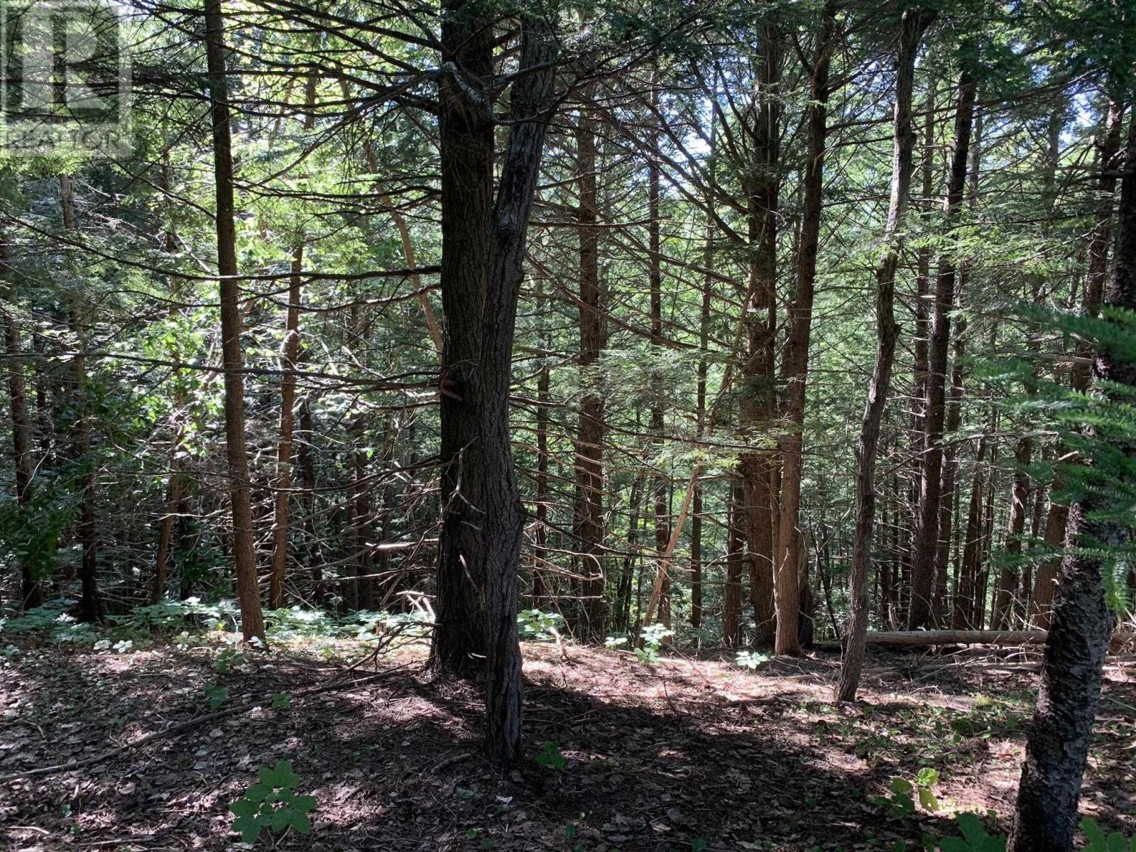 Lot Sunken Lake Road, Deep Hollow, Nova Scotia  B4P 2R2 - Photo 22 - 202417908