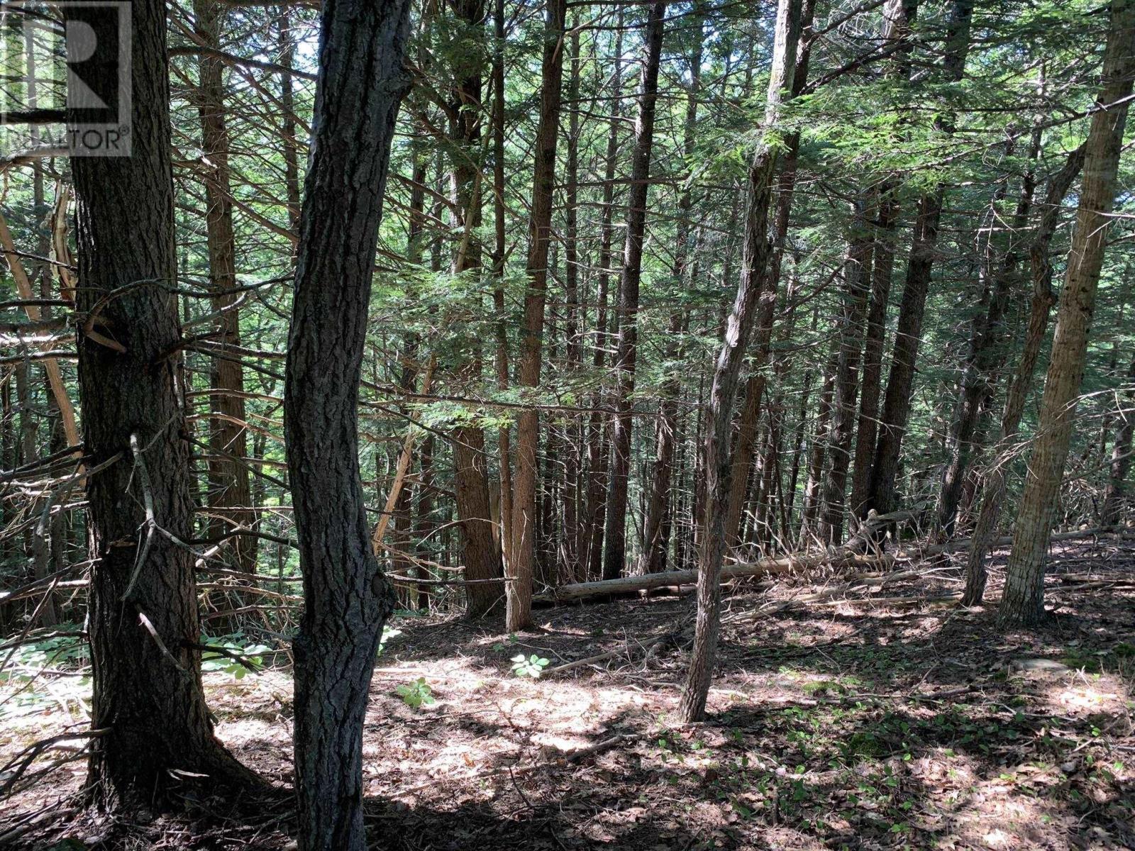 Lot Sunken Lake Road, Deep Hollow, Nova Scotia  B4P 2R2 - Photo 23 - 202417908