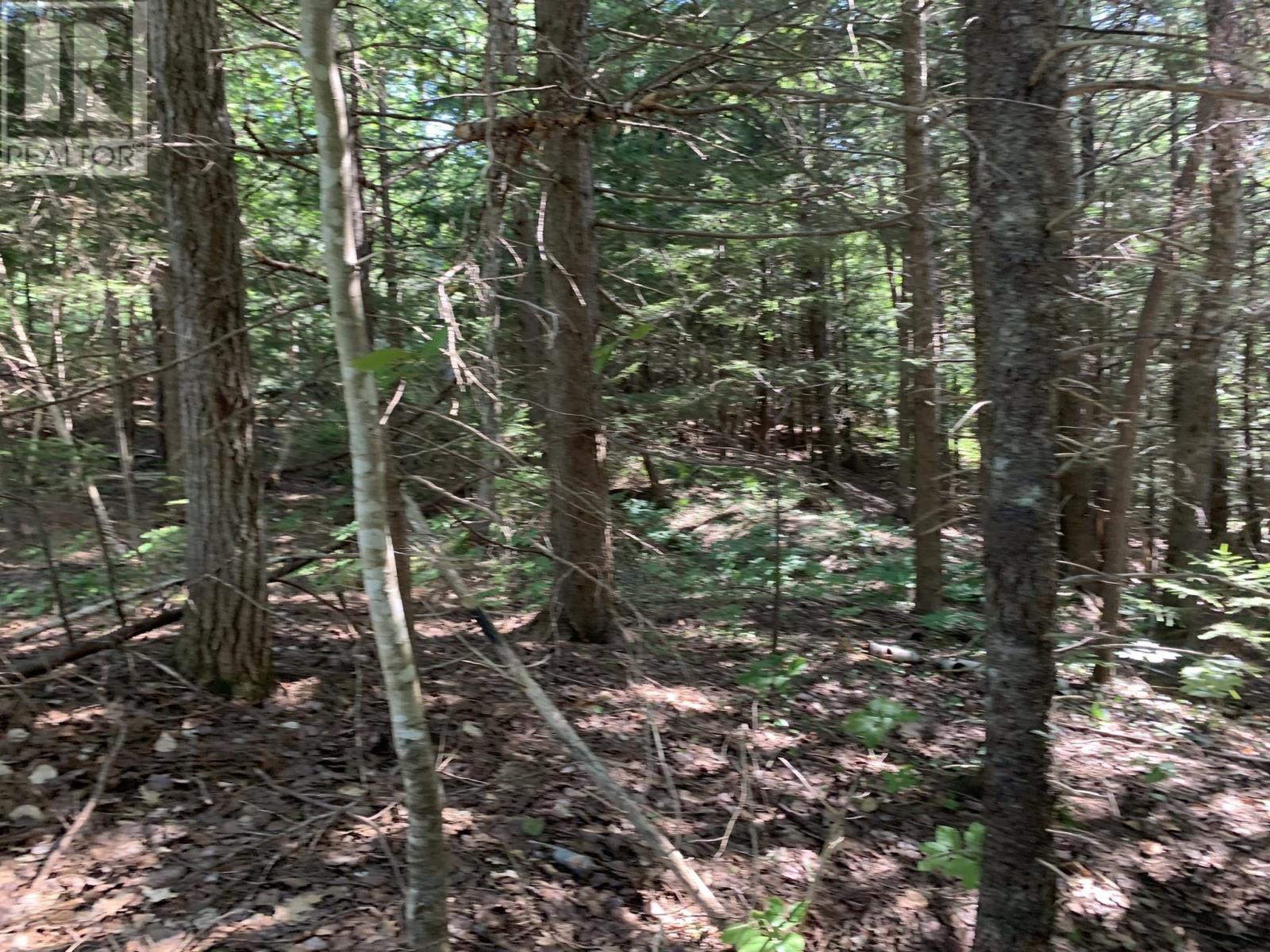 Lot Sunken Lake Road, Deep Hollow, Nova Scotia  B4P 2R2 - Photo 24 - 202417908