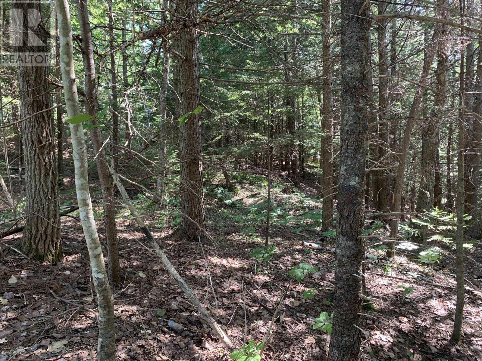 Lot Sunken Lake Road, Deep Hollow, Nova Scotia  B4P 2R2 - Photo 25 - 202417908