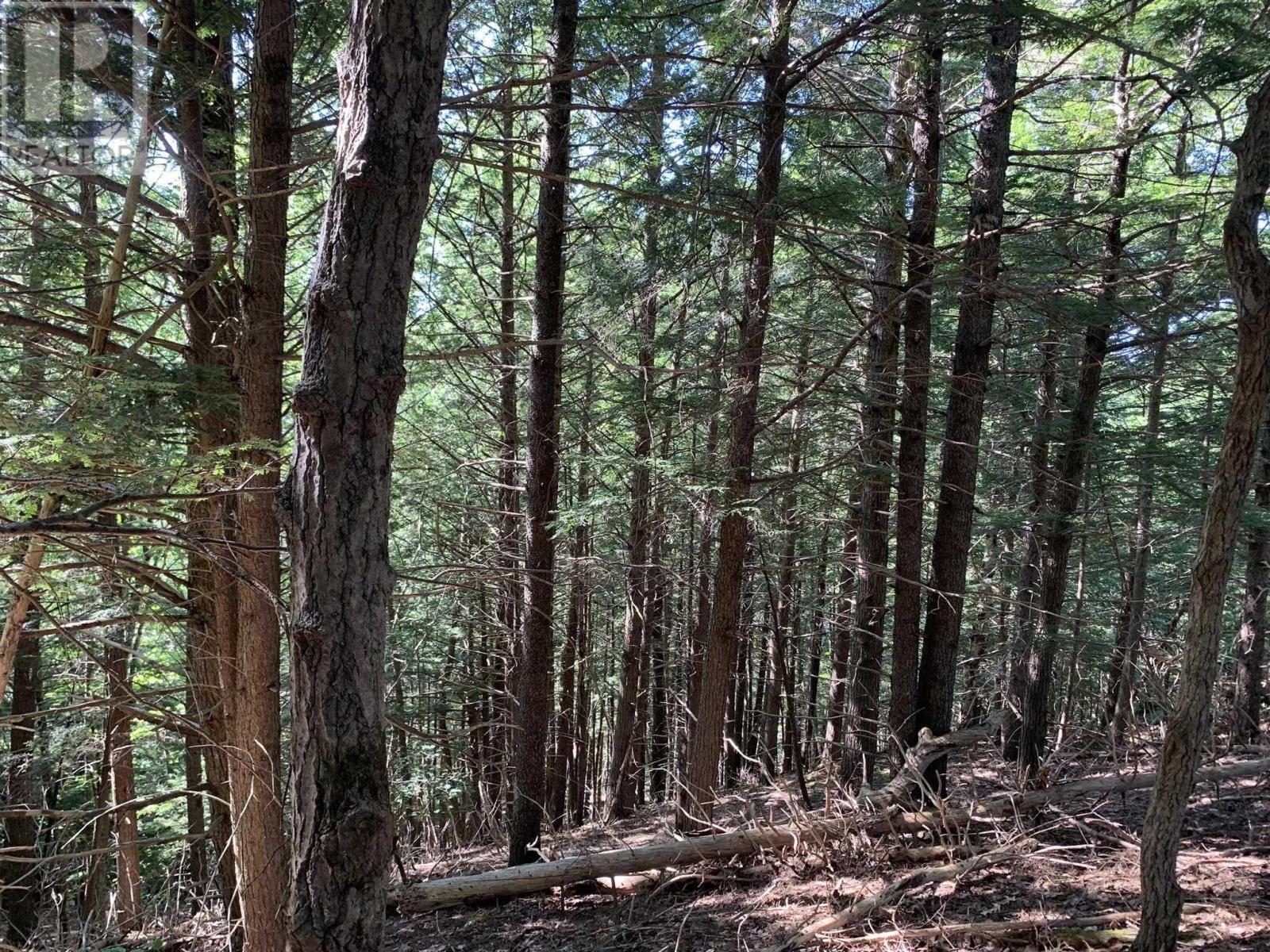 Lot Sunken Lake Road, Deep Hollow, Nova Scotia  B4P 2R2 - Photo 26 - 202417908