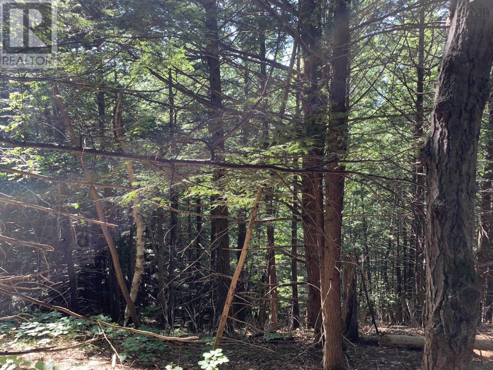 Lot Sunken Lake Road, Deep Hollow, Nova Scotia  B4P 2R2 - Photo 27 - 202417908