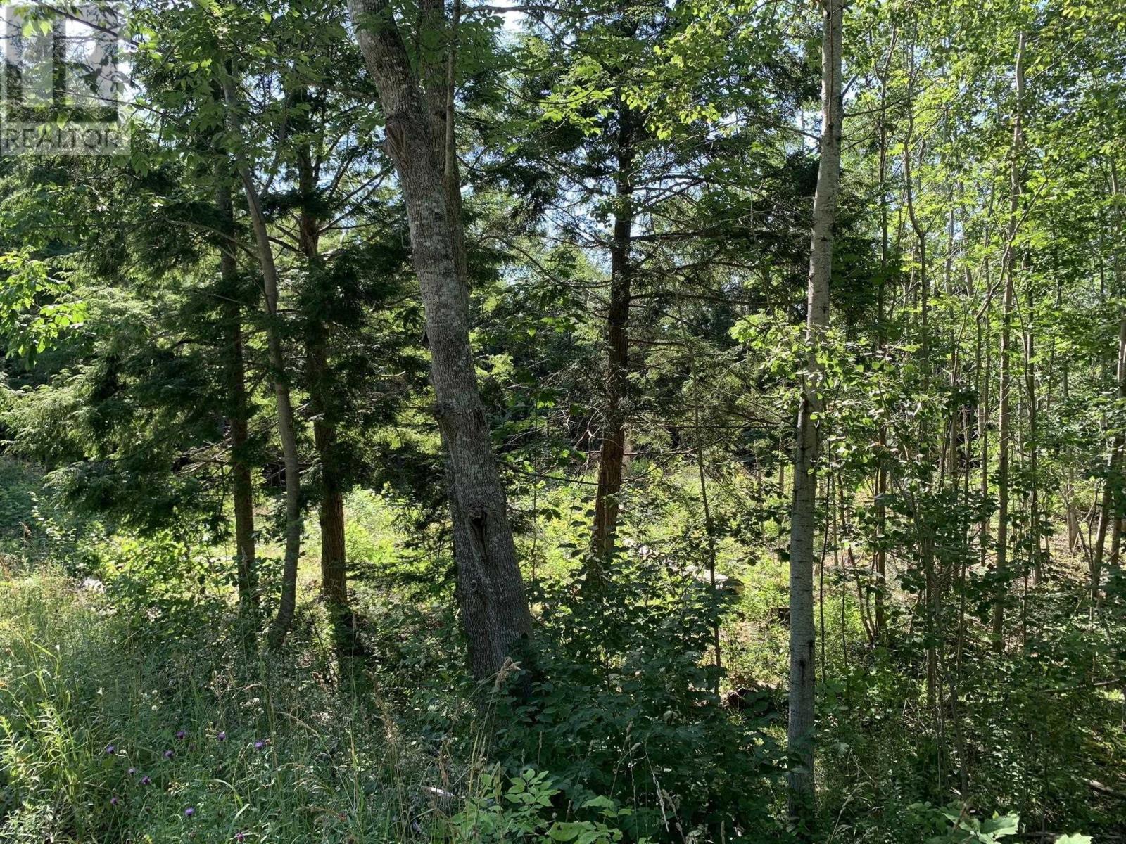 Lot Sunken Lake Road, Deep Hollow, Nova Scotia  B4P 2R2 - Photo 28 - 202417908