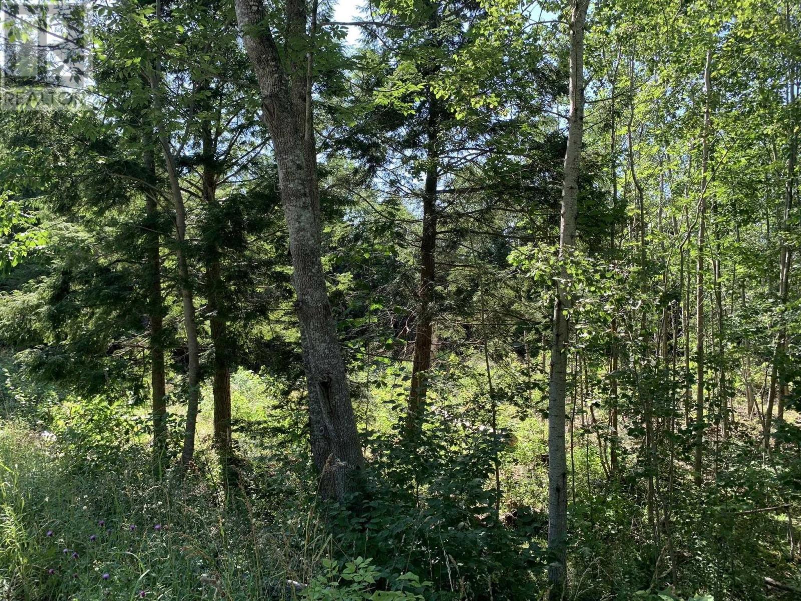 Lot Sunken Lake Road, Deep Hollow, Nova Scotia  B4P 2R2 - Photo 29 - 202417908