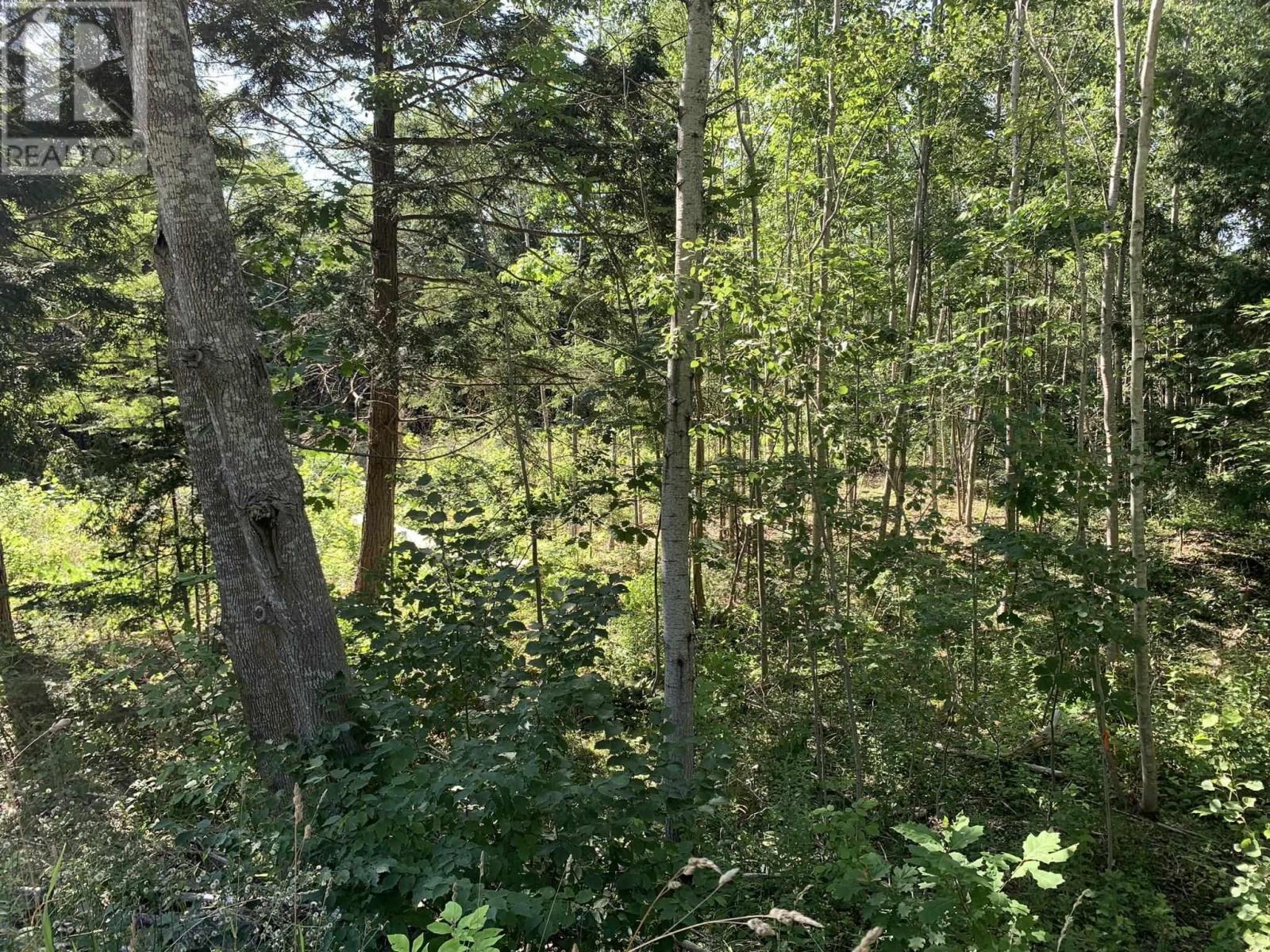 Lot Sunken Lake Road, Deep Hollow, Nova Scotia  B4P 2R2 - Photo 30 - 202417908