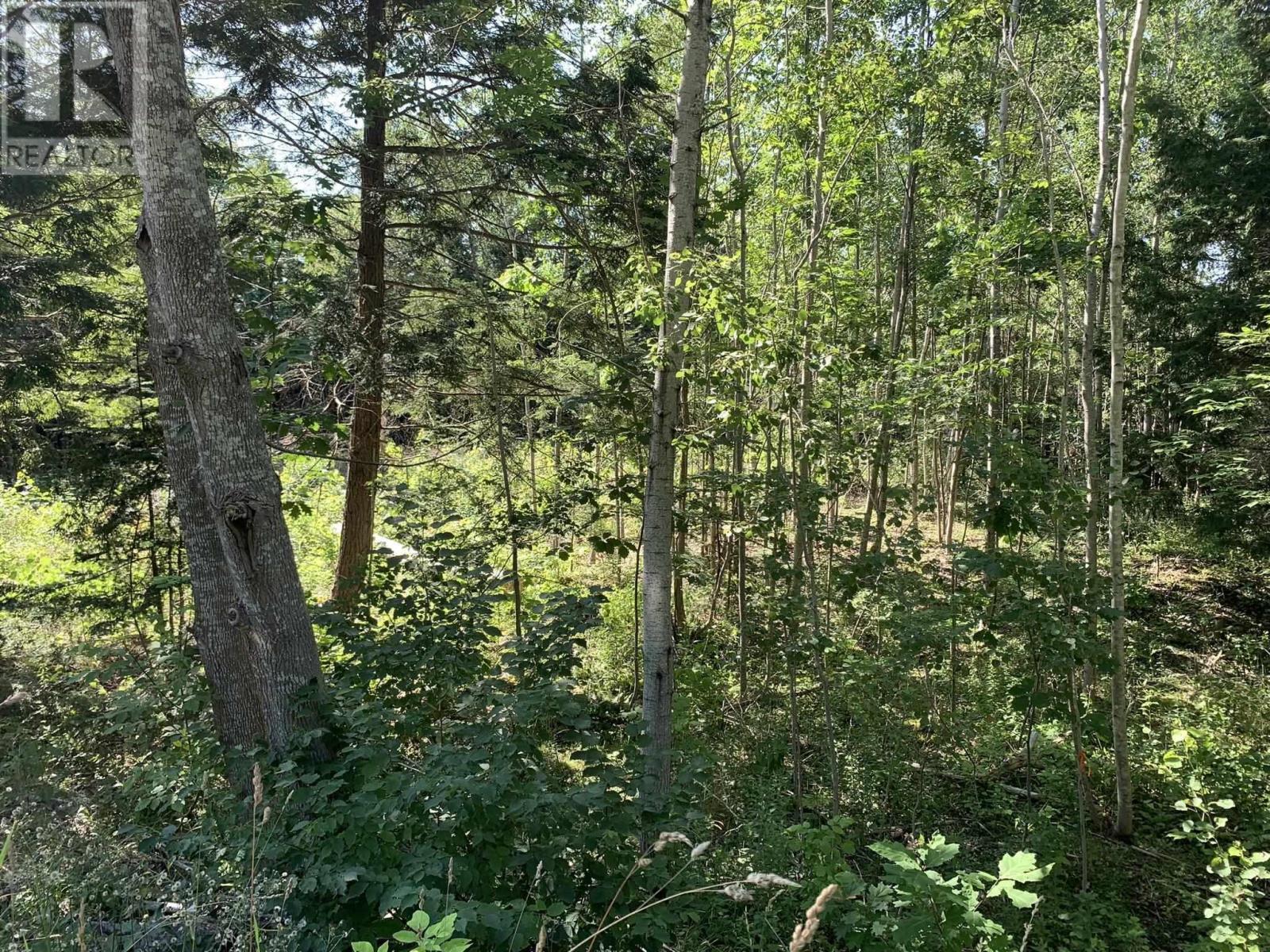 Lot Sunken Lake Road, Deep Hollow, Nova Scotia  B4P 2R2 - Photo 31 - 202417908