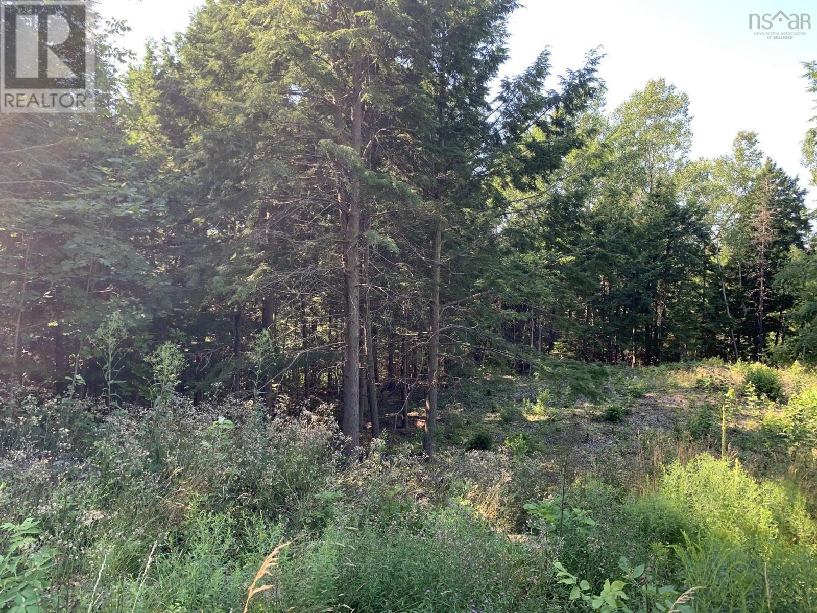 Lot Sunken Lake Road, Deep Hollow, Nova Scotia  B4P 2R2 - Photo 4 - 202417908