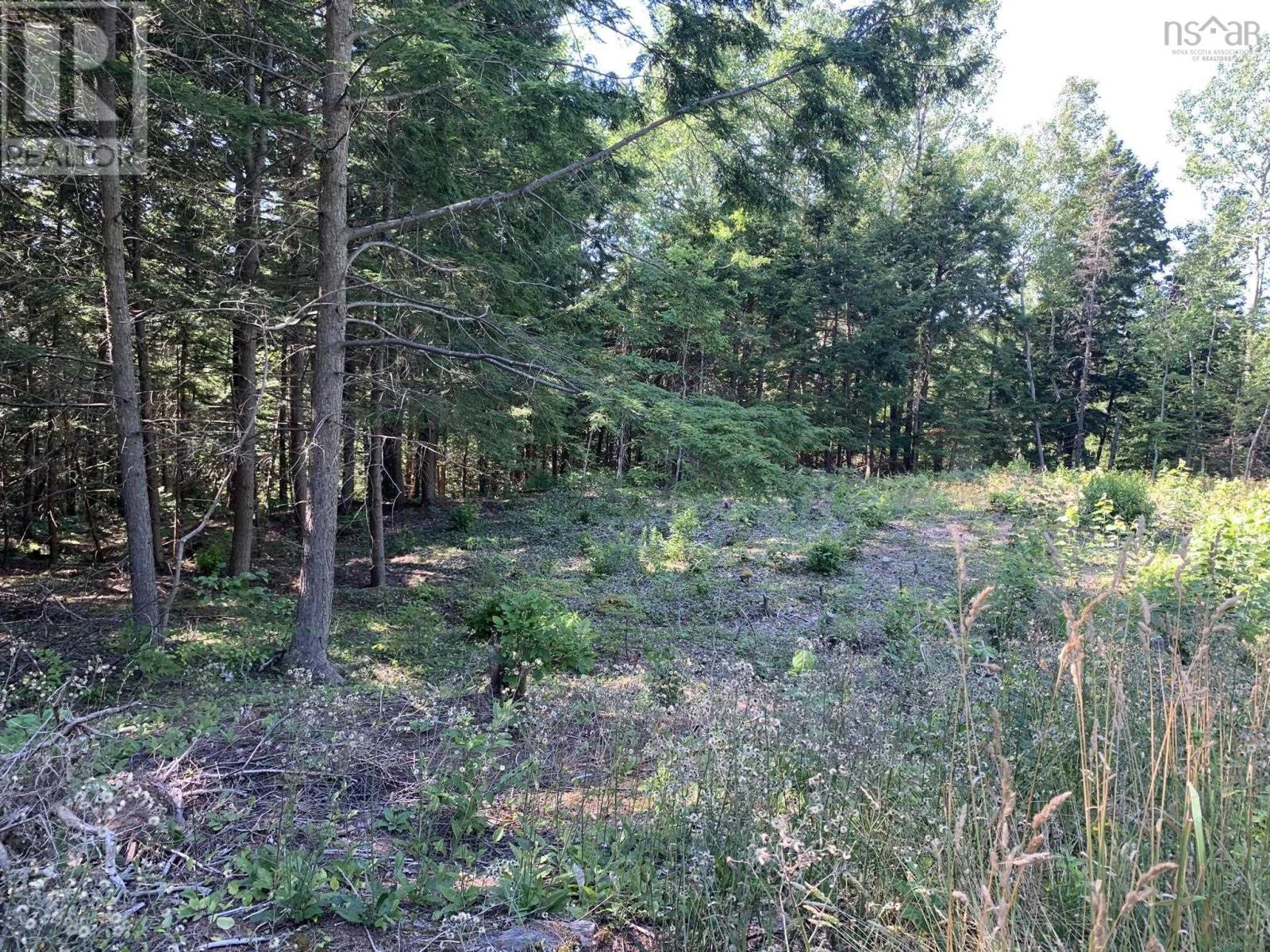 Lot Sunken Lake Road, Deep Hollow, Nova Scotia  B4P 2R2 - Photo 8 - 202417908