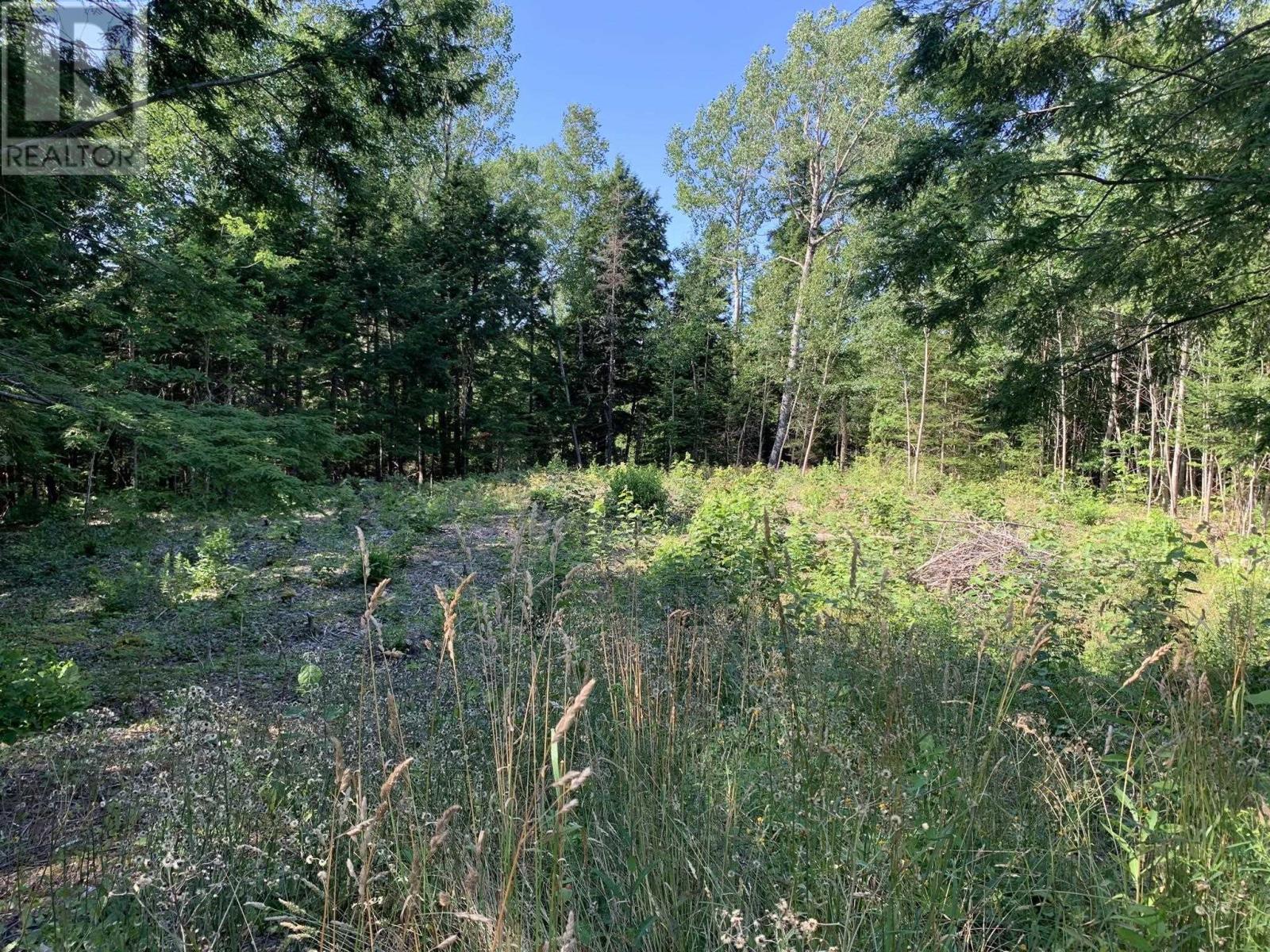 Lot Sunken Lake Road, Deep Hollow, Nova Scotia  B4P 2R2 - Photo 9 - 202417908