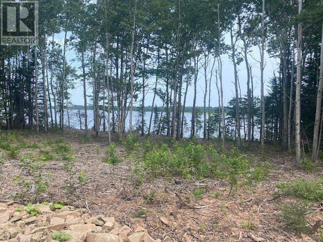 Lot 2 North Shore Road, East Wallace, Nova Scotia  B0K 1Y0 - Photo 2 - 202417993