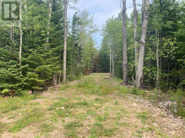 Lot 2 North Shore Road, East Wallace, Nova Scotia  B0K 1Y0 - Photo 3 - 202417993