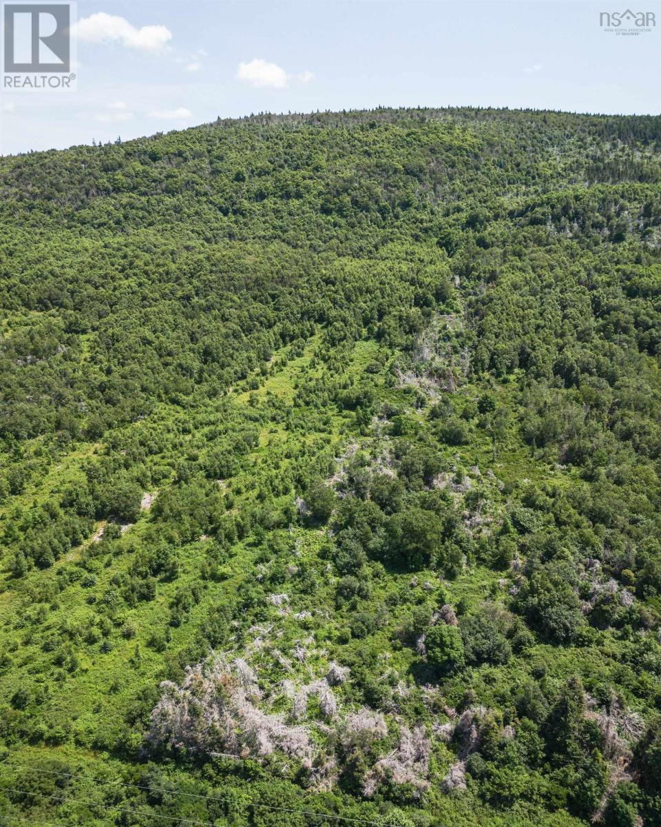 Cabot Trail, Point Cross, Nova Scotia  B0E 1H0 - Photo 21 - 202418161