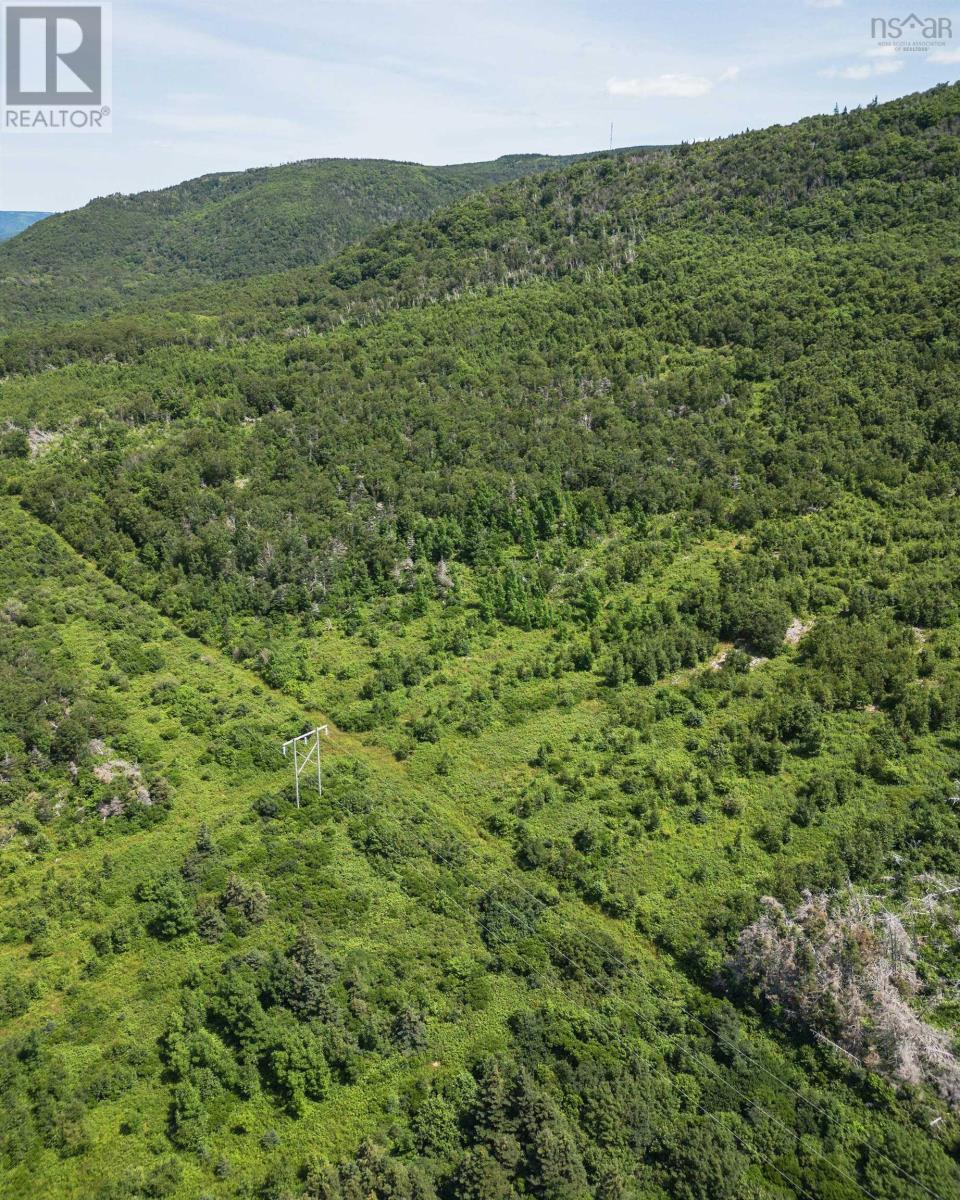 Cabot Trail, Point Cross, Nova Scotia  B0E 1H0 - Photo 22 - 202418161