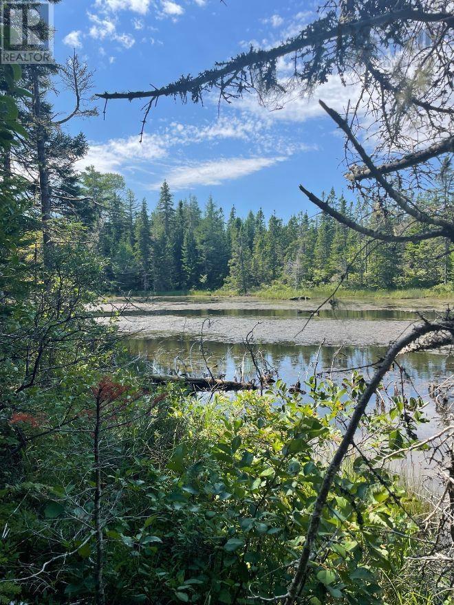 Orangedale Road, Orangedale, Nova Scotia  B0E 2B7 - Photo 6 - 202418260