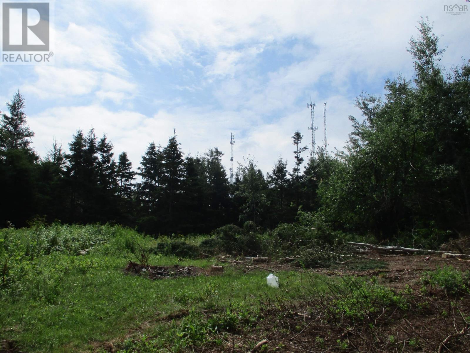 Lot 87-2 Hwy 6 Wallace Ridge, Wallace Ridge, Nova Scotia  B0K 1E0 - Photo 6 - 202418277