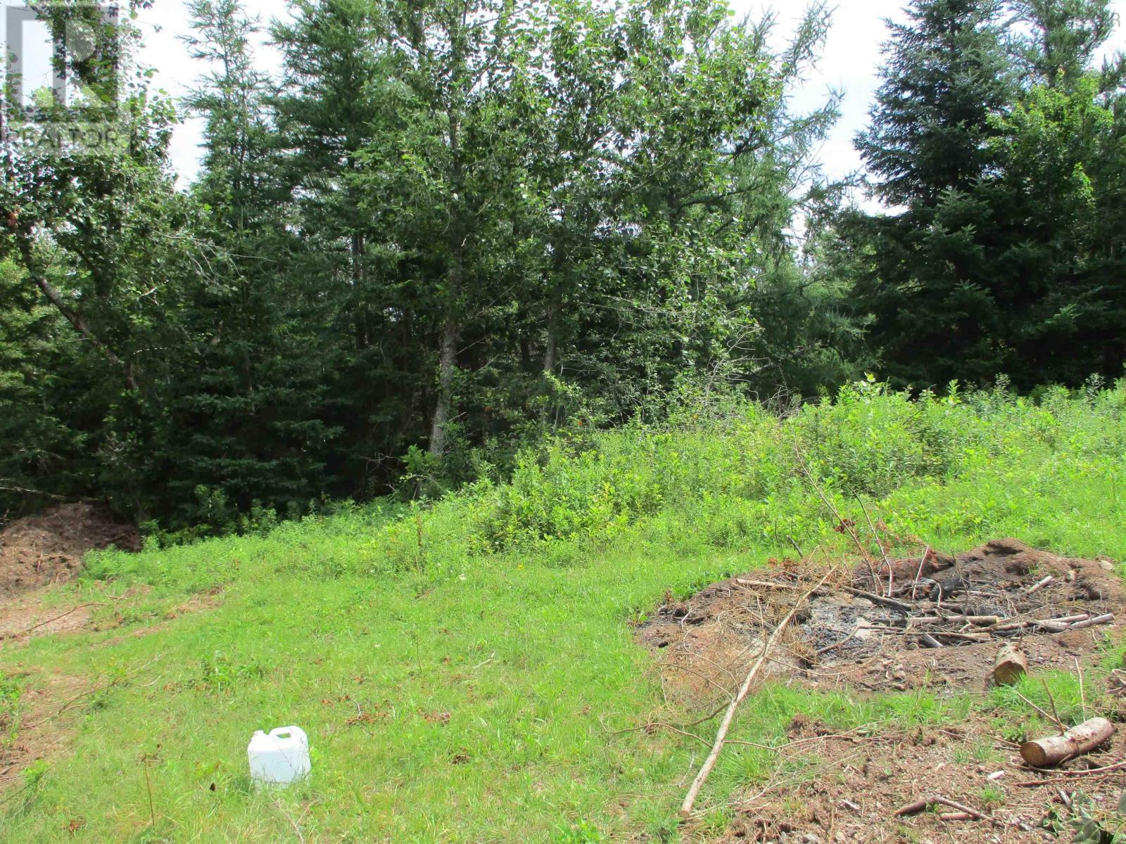 Lot 87-2 Hwy 6 Wallace Ridge, Wallace Ridge, Nova Scotia  B0K 1E0 - Photo 7 - 202418277