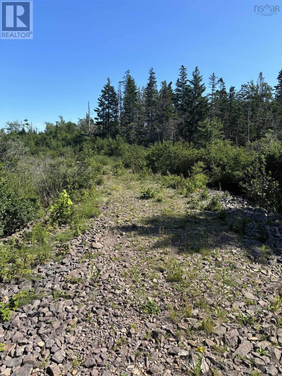 Robicheau Road, Waterford, Nova Scotia  B0V 1A0 - Photo 17 - 202418324