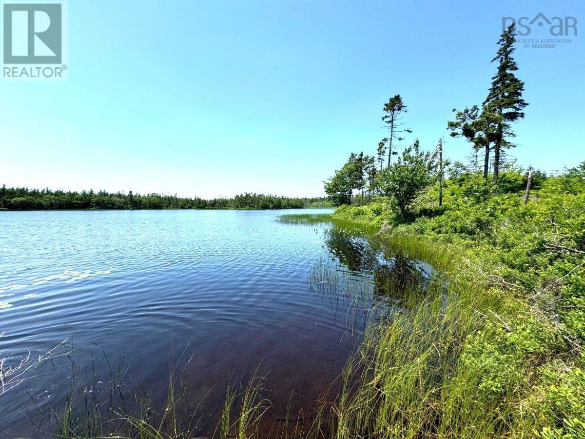 3 Grandique Road, Arichat, Nova Scotia  B0E 1K0 - Photo 4 - 202418363