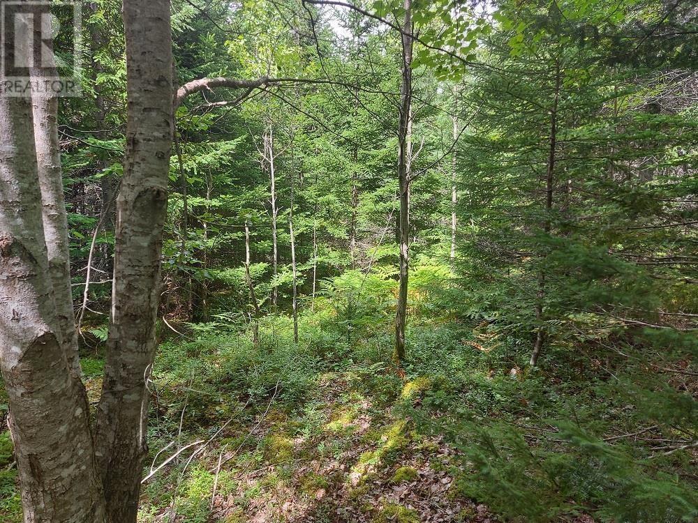 Lot 2b Wall Street, Cape George Estates, Nova Scotia  B0E 3B0 - Photo 10 - 202418459