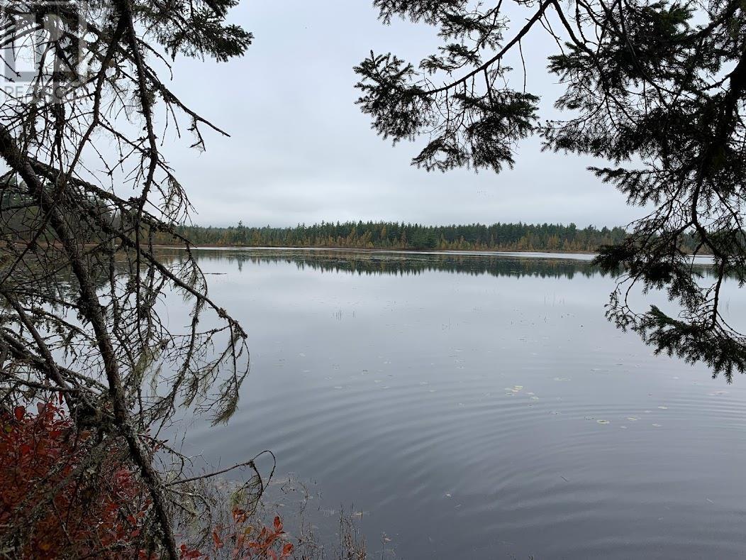 Lot 2 Pleasant River Preserve, Pleasant River, Nova Scotia  B0T 1X0 - Photo 10 - 202418570