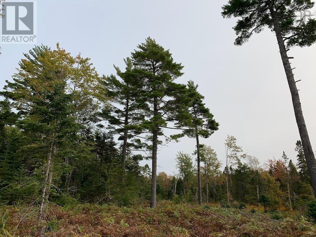 Lot 2 Pleasant River Preserve, Pleasant River, Nova Scotia  B0T 1X0 - Photo 11 - 202418570