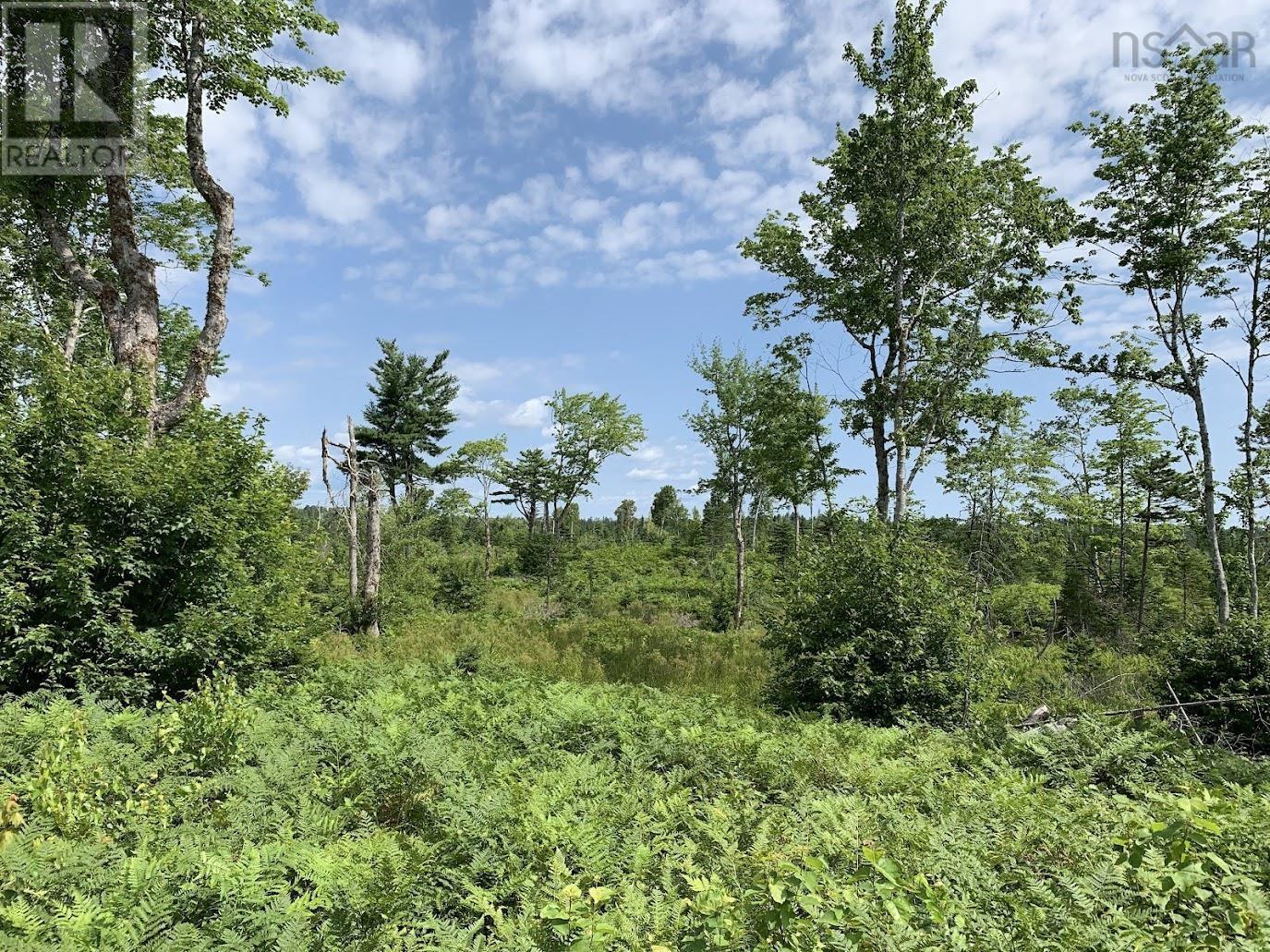 Lot 2 Pleasant River Preserve, Pleasant River, Nova Scotia  B0T 1X0 - Photo 14 - 202418570