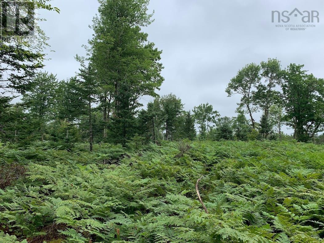 Lot 2 Pleasant River Preserve, Pleasant River, Nova Scotia  B0T 1X0 - Photo 2 - 202418570