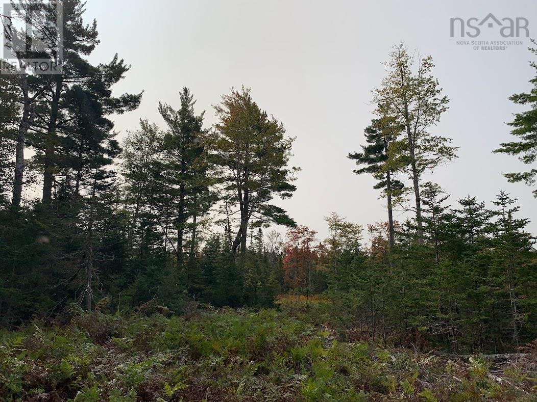 Lot 2 Pleasant River Preserve, Pleasant River, Nova Scotia  B0T 1X0 - Photo 5 - 202418570