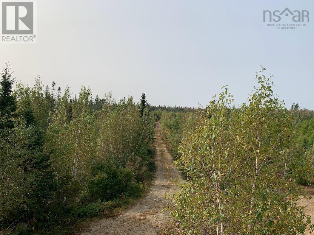 Lot 2 Pleasant River Preserve, Pleasant River, Nova Scotia  B0T 1X0 - Photo 6 - 202418570