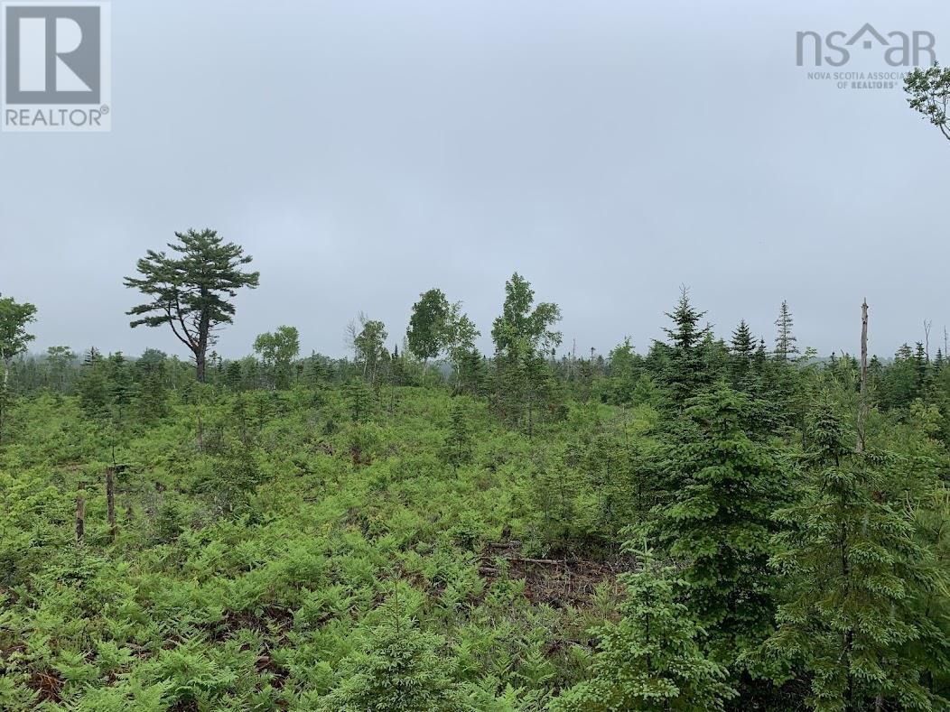 Lot 2 Pleasant River Preserve, Pleasant River, Nova Scotia  B0T 1X0 - Photo 8 - 202418570