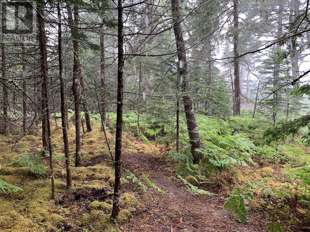 Lot 1 Pleasant River Preserve, Pleasant River, Nova Scotia  B0T 1X0 - Photo 23 - 202418577