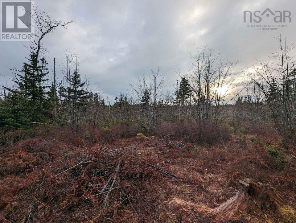 Lot Fishpeddlers Road, Rose Bay, Nova Scotia  B0J 2X0 - Photo 2 - 202418770