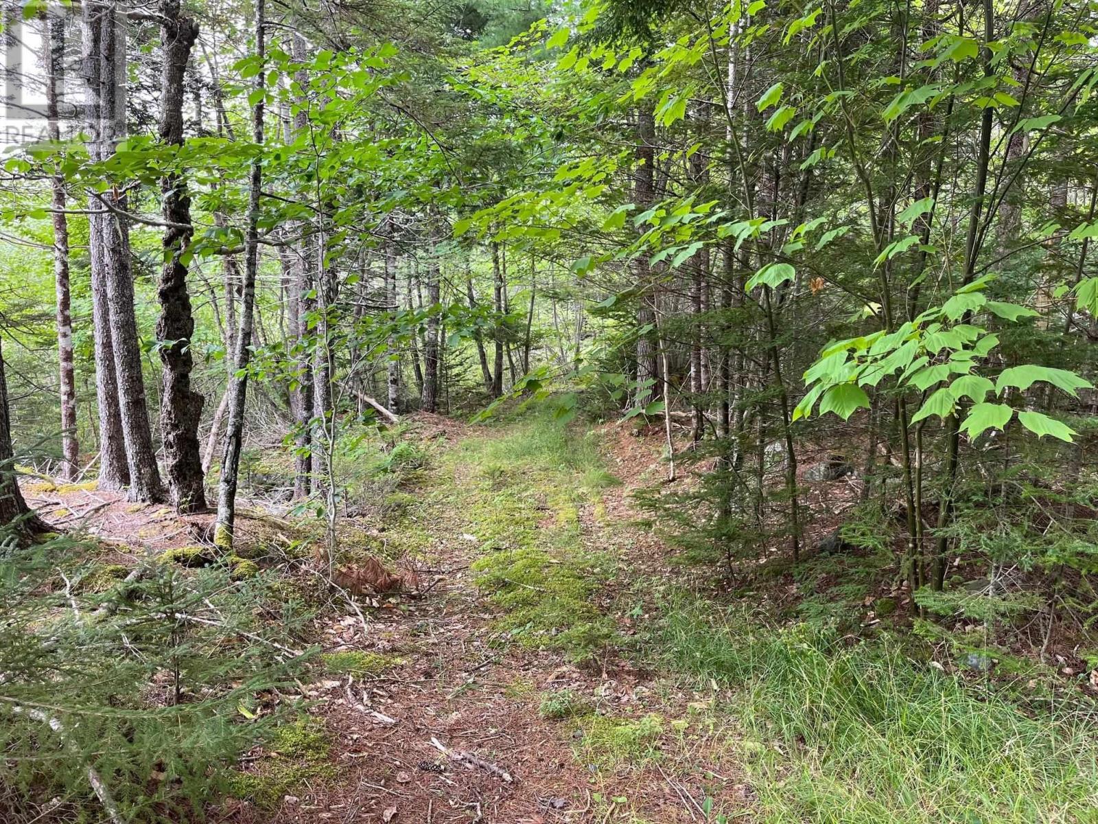 Lot B Meadowlark Road, Molega Lake, Nova Scotia  B4V 8T1 - Photo 3 - 202418778