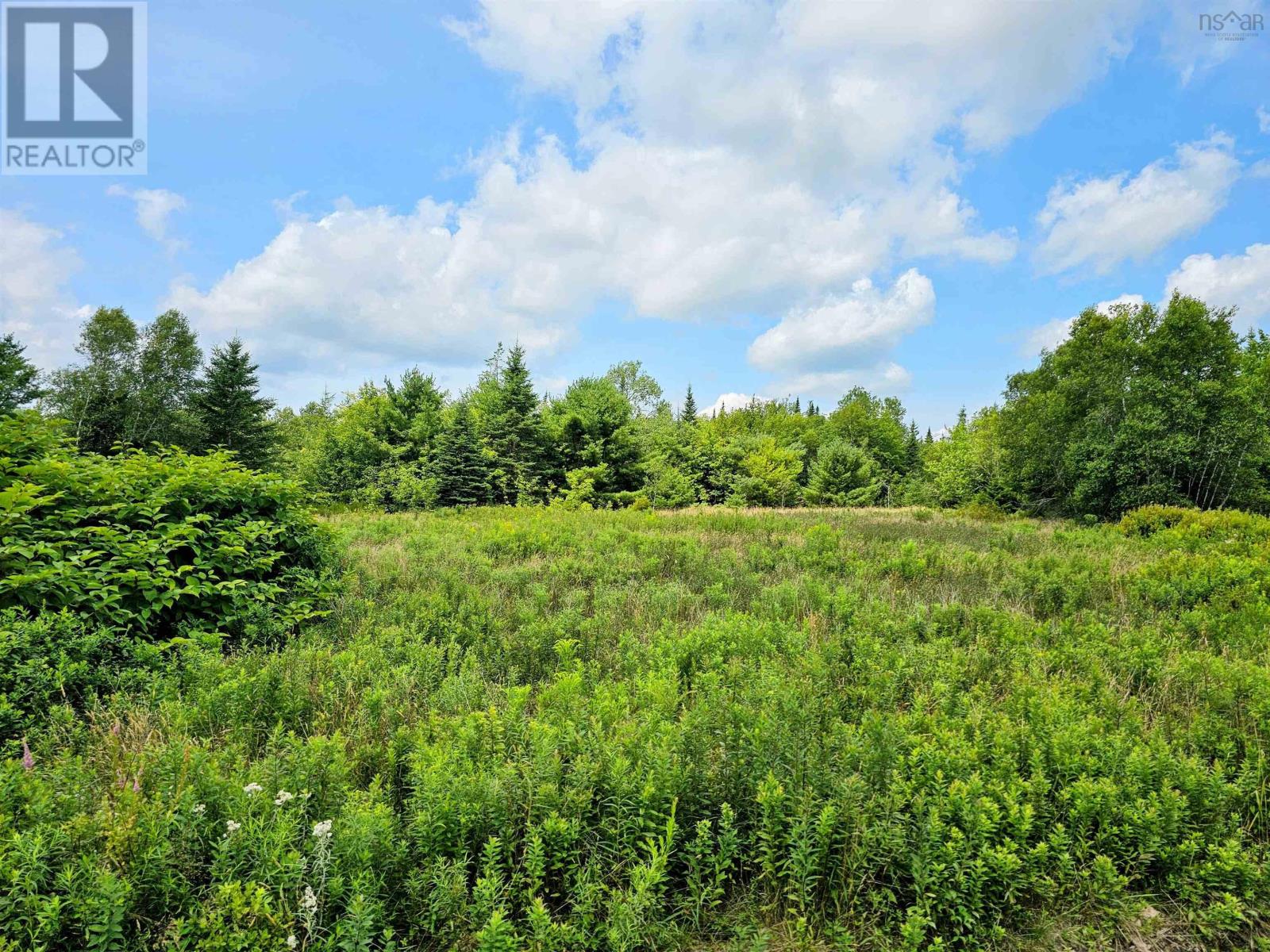 983 Canaan Road, Canaan, Nova Scotia  B0J 1J0 - Photo 3 - 202418803