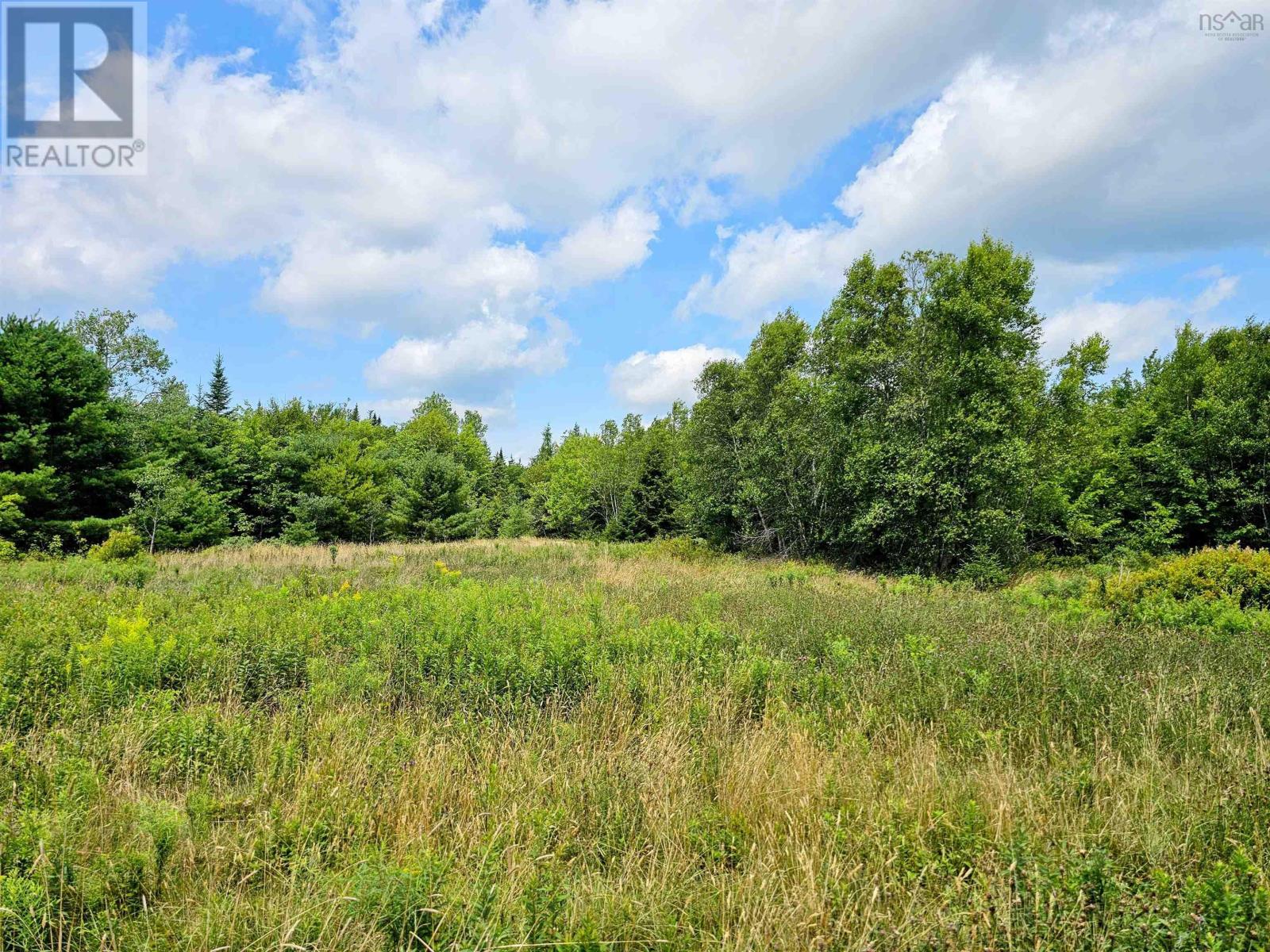 983 Canaan Road, Canaan, Nova Scotia  B0J 1J0 - Photo 9 - 202418803