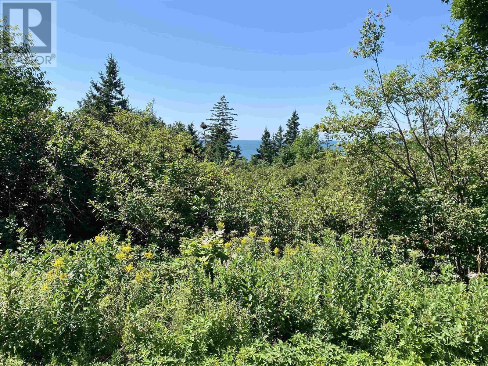 Lot 1 Granville Road, Victoria Beach, Nova Scotia  B0S 1A0 - Photo 11 - 202418815