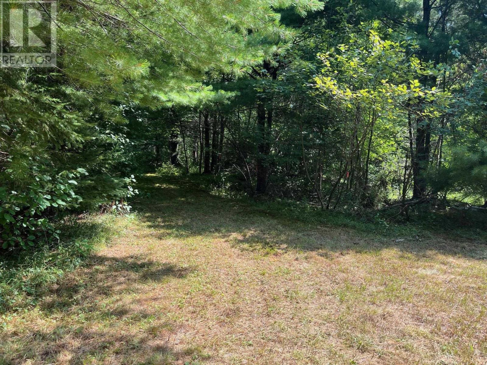 Lot 24-1 Mckeen Road, Watford, Nova Scotia  B0R 1E0 - Photo 20 - 202418816