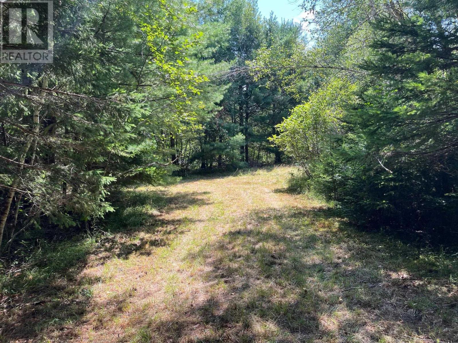 Lot 24-1 Mckeen Road, Watford, Nova Scotia  B0R 1E0 - Photo 21 - 202418816