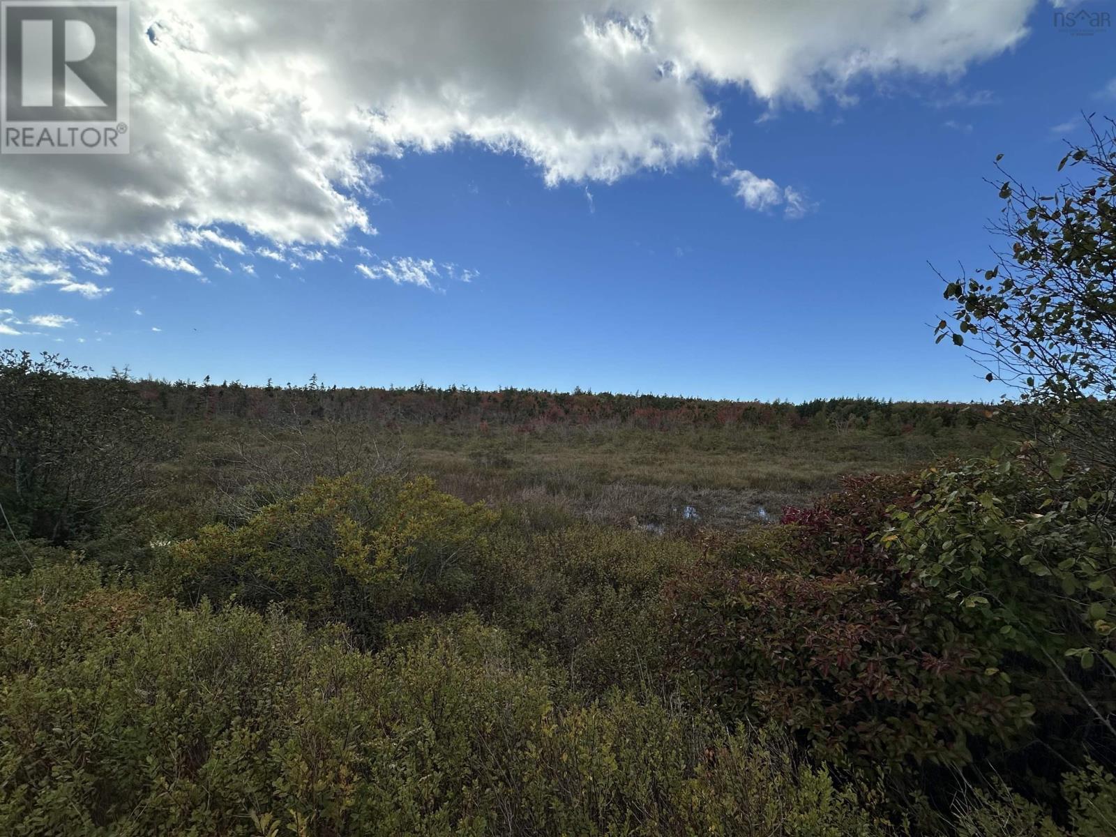 Highway 334, Plymouth, Nova Scotia  B0W 1B0 - Photo 3 - 202418877