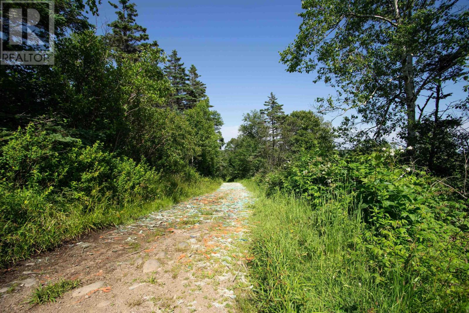 Highway 217, Freeport, Nova Scotia  B0V 1G0 - Photo 23 - 202418904