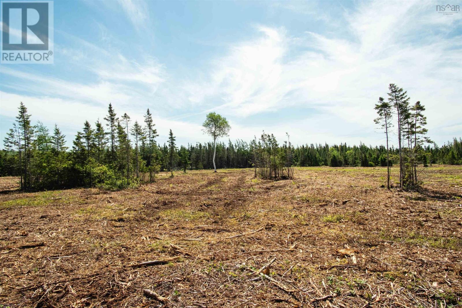 Lot 5 Alpine Ridge Road, Mabou, Nova Scotia  B0E 1X0 - Photo 10 - 202418975