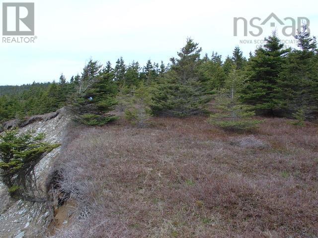 Lot 8 Holland Harbour, Holland Harbour, Nova Scotia  B0J 3C0 - Photo 3 - 202418983