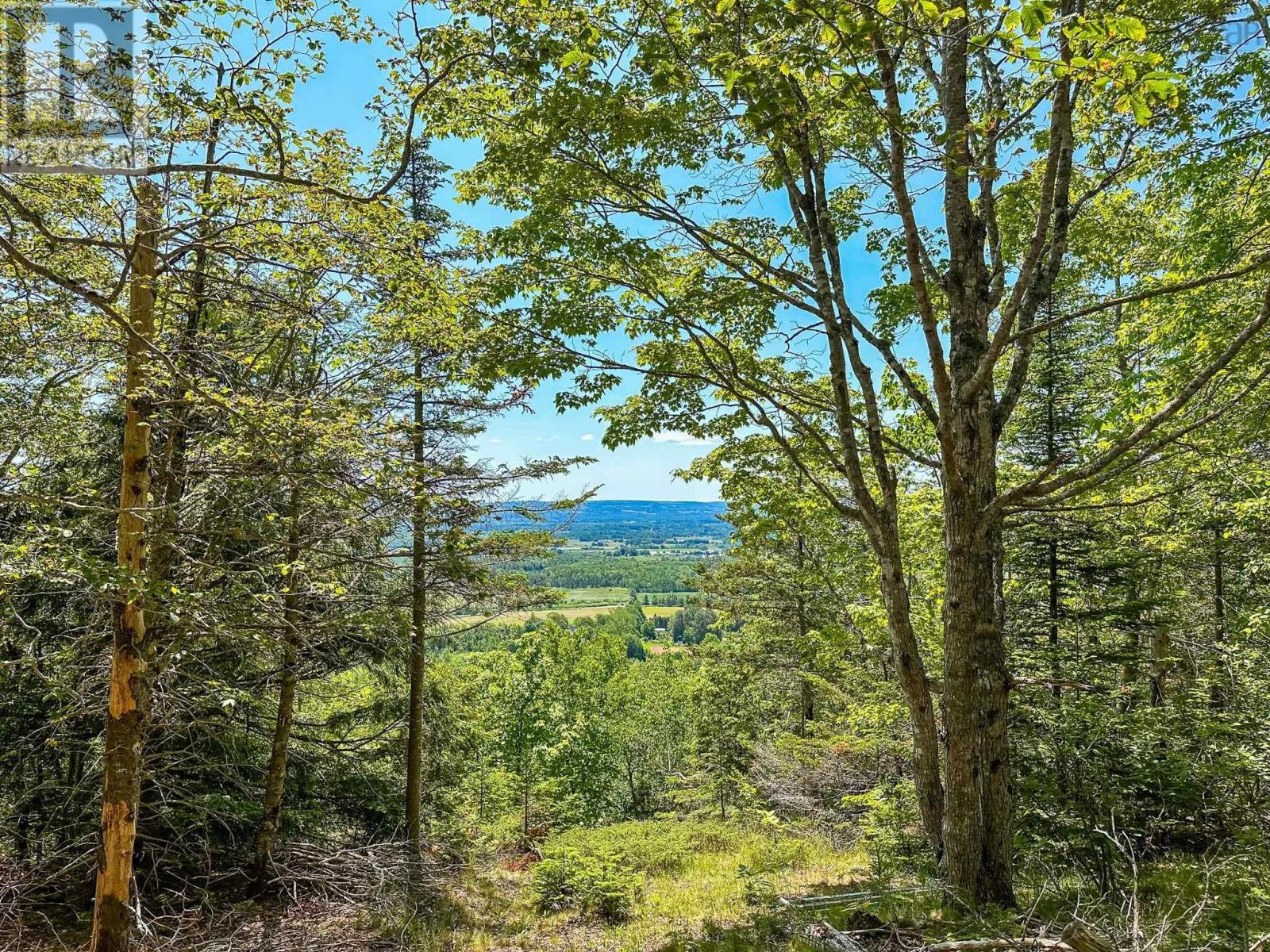 Lot 1 Brow Of Mountain Road, Garland, Nova Scotia  B0P 1E0 - Photo 2 - 202419093