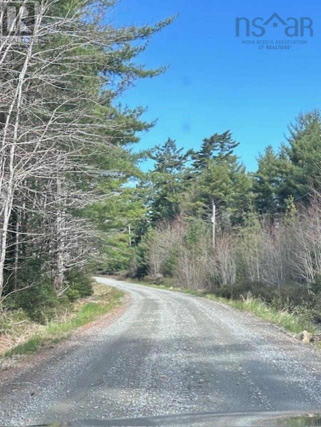 Brier Hill Road, Upper Clyde, Nova Scotia  B0T 1W0 - Photo 13 - 202419098