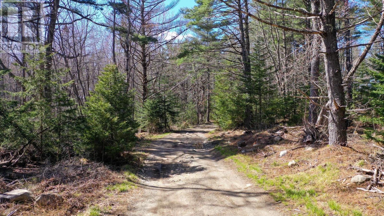 Brier Hill Road, Upper Clyde, Nova Scotia  B0T 1W0 - Photo 6 - 202419098