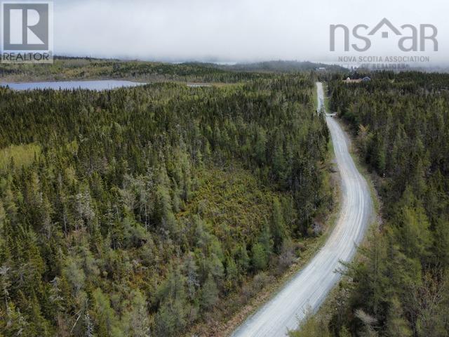 Mines Road, West Petpeswick, Nova Scotia  B0J 2L0 - Photo 10 - 202419138