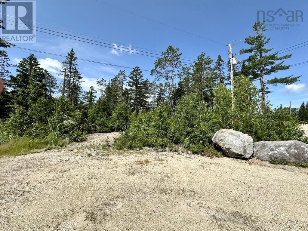 Lot 21 Highway 14, Sherwood, Nova Scotia  B0J 1J0 - Photo 11 - 202419203