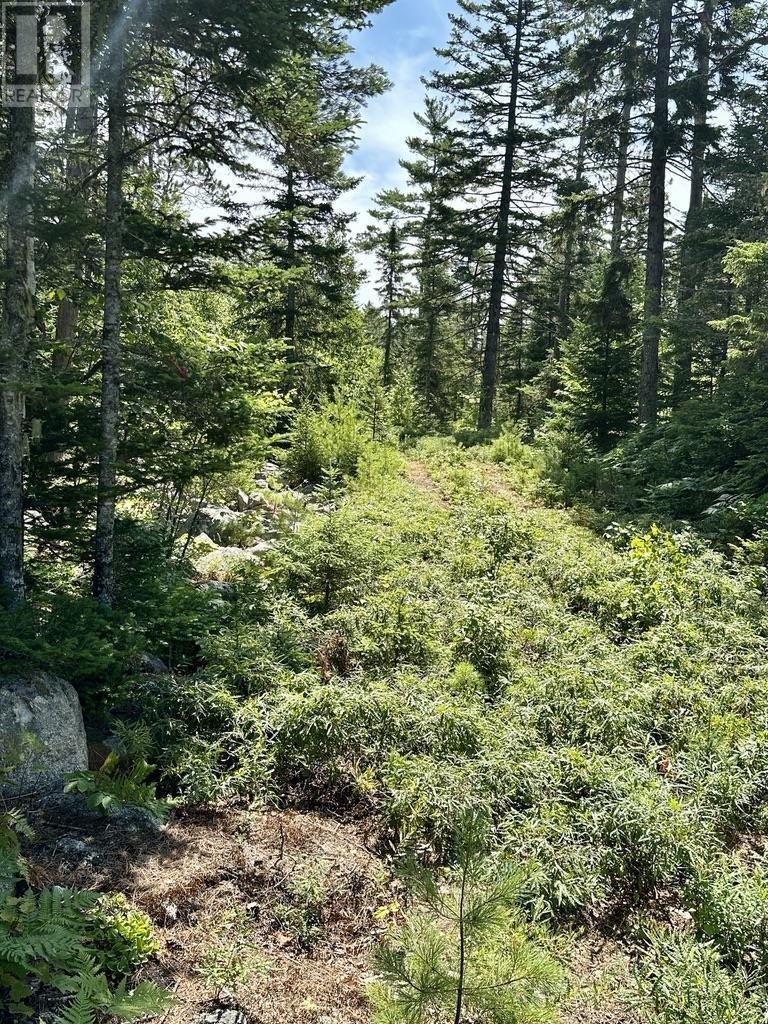 Lot 21 Highway 14, Sherwood, Nova Scotia  B0J 1J0 - Photo 12 - 202419203