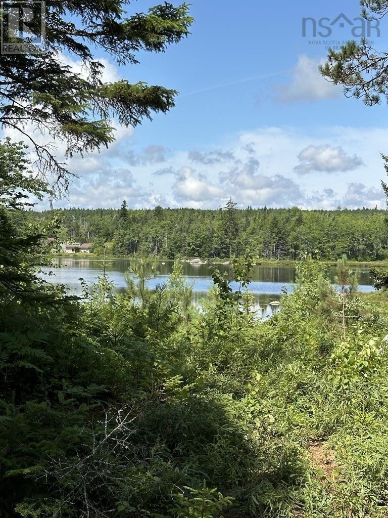 Lot 21 Highway 14, Sherwood, Nova Scotia  B0J 1J0 - Photo 14 - 202419203