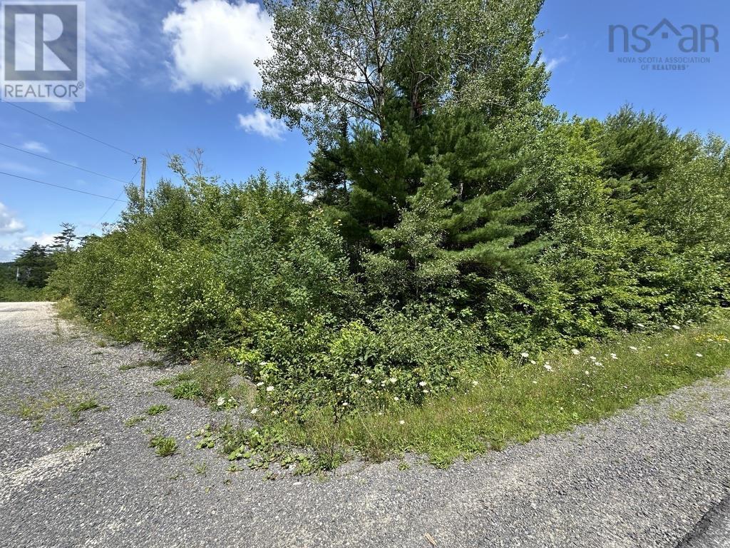 Lot 21 Highway 14, Sherwood, Nova Scotia  B0J 1J0 - Photo 2 - 202419203